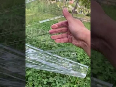 แผ่นหลังคาโพลีคาร์บอเนต